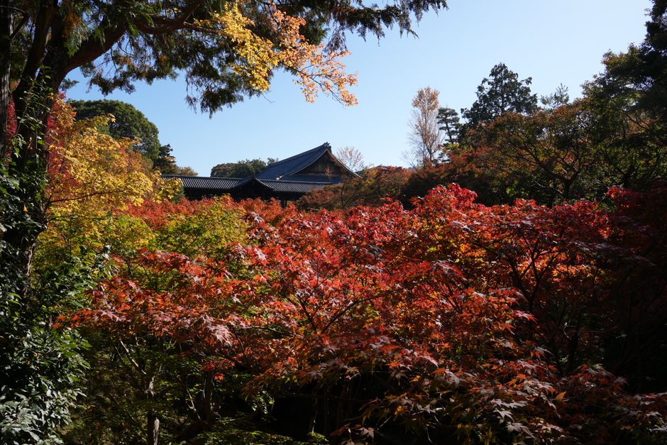 Kyoto