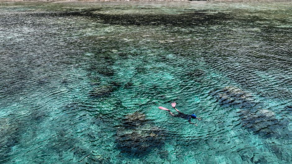 Wakatobi